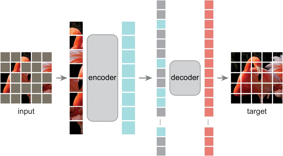 SimCLR vs BYOL vs MAE vs DINOv2: ImageNet Numbers, Three Eras