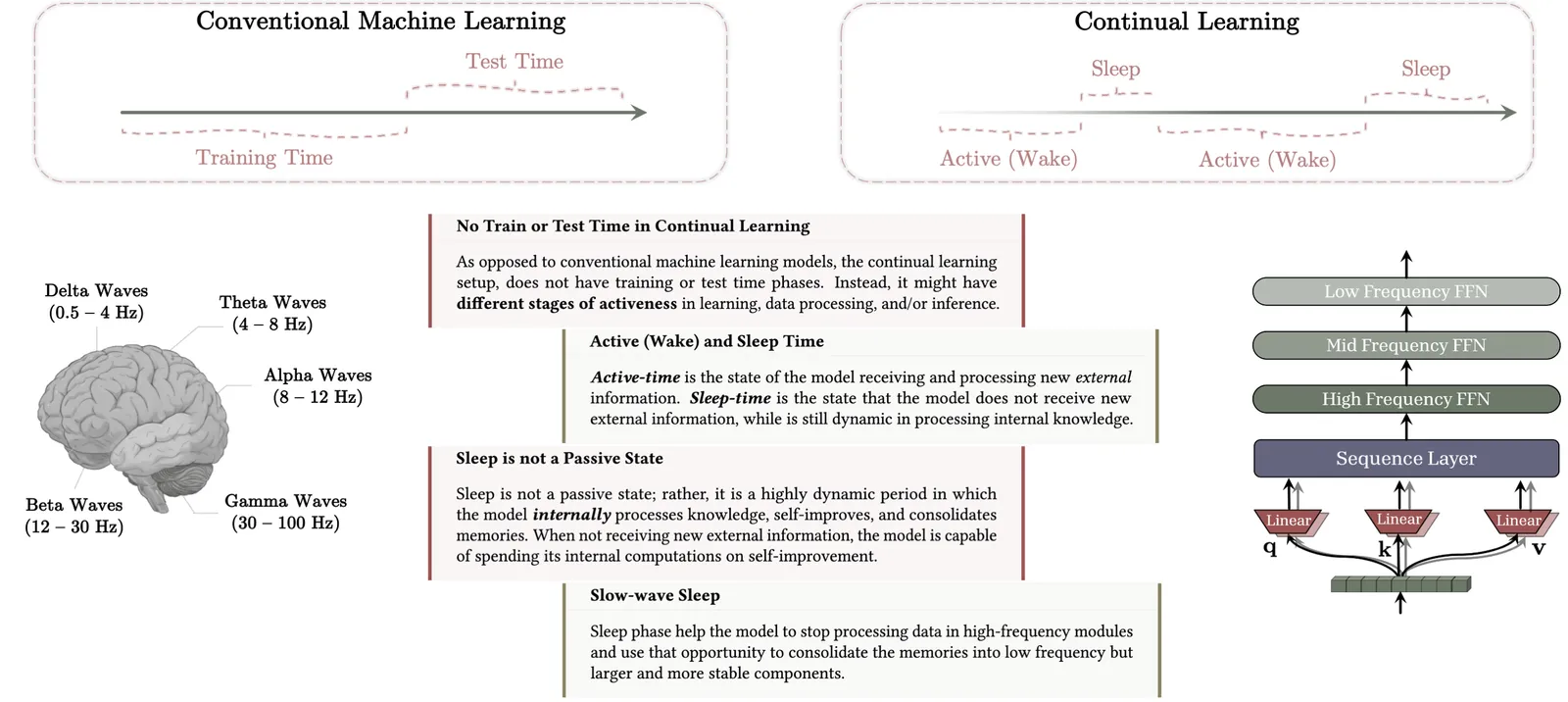 Language Models Need Sleep: A Consolidate-and-Dream Recipe